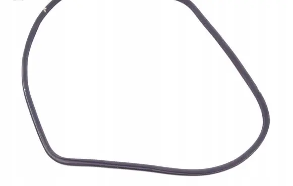 Mercedes-Benz S W221 Front door rubber seal A2216970551