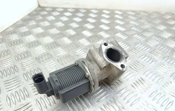 Opel Signum EGR valve 55204250