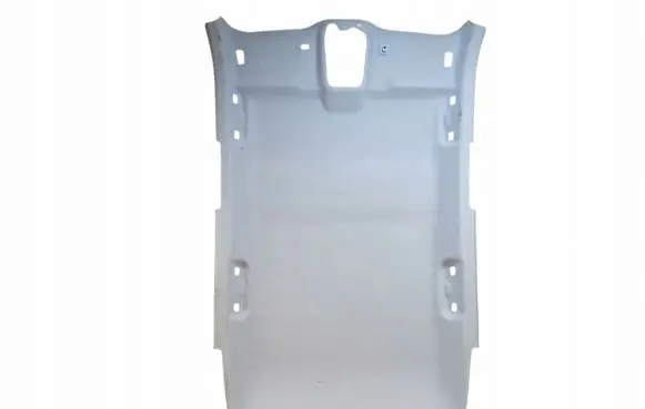 Peugeot 307 Headlining 