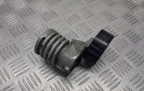 Skoda Fabia Mk1 (6Y) Alternator belt tensioner pulley 238481-08