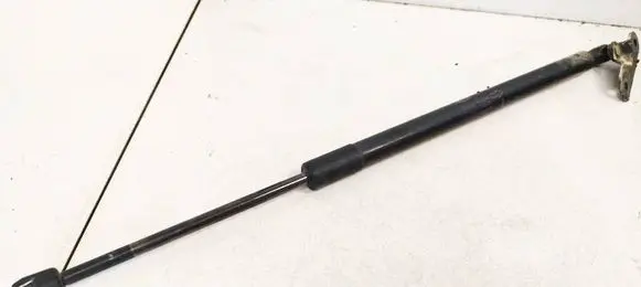Land Rover Discovery Sport Tailgate/trunk strut/damper FK72406A10AB