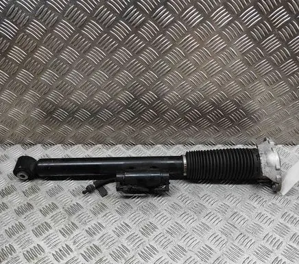 Land Rover Range Rover Sport L461 Rear shock absorber/damper N9X218W003BF