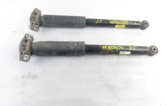 Opel Zafira C Rear shock absorber/damper 13351720