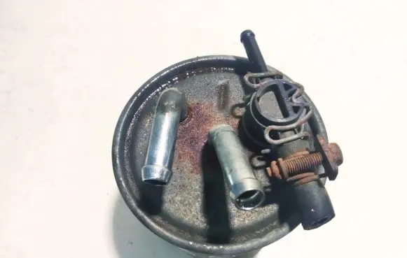 Nissan Pathfinder R51 Fuel filter gfe5505