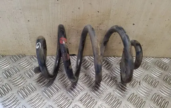 Nissan Juke I F15 Rear coil spring