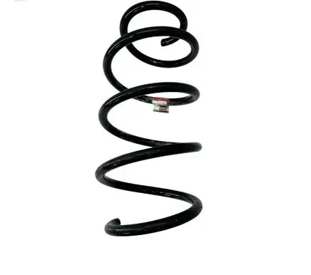 Ford Focus Front coil spring BV615310NKB