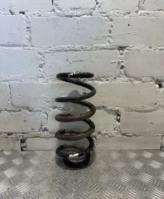 Toyota RAV 4 (XA30) Rear coil spring