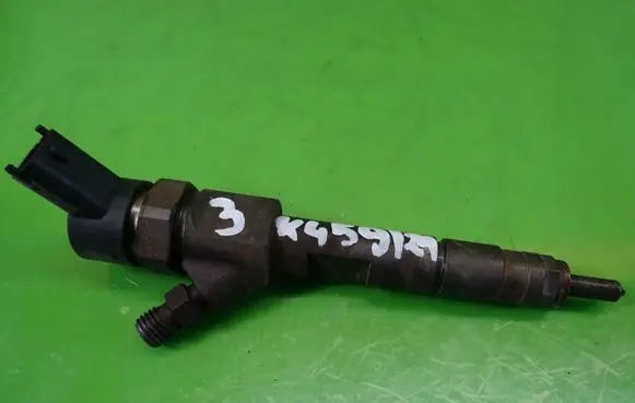 Renault Megane II Fuel injector 0445110110B