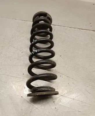 Opel Insignia B Rear coil spring 