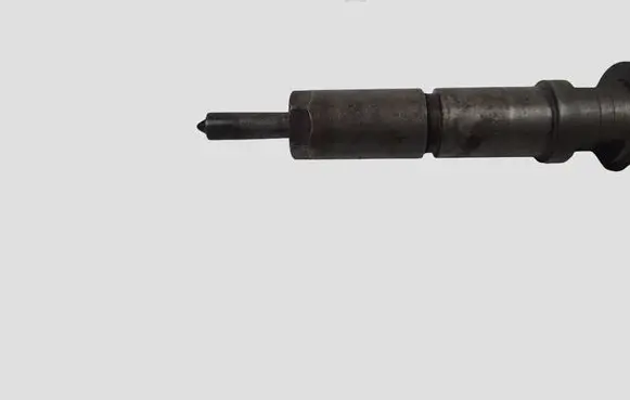 Peugeot 307 Fuel injector 0445110076