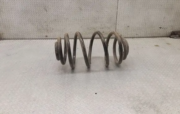 Rear coil spring