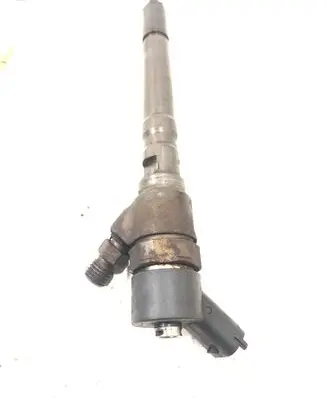 Hyundai Santa Fe Fuel injector 0445110064 338002700