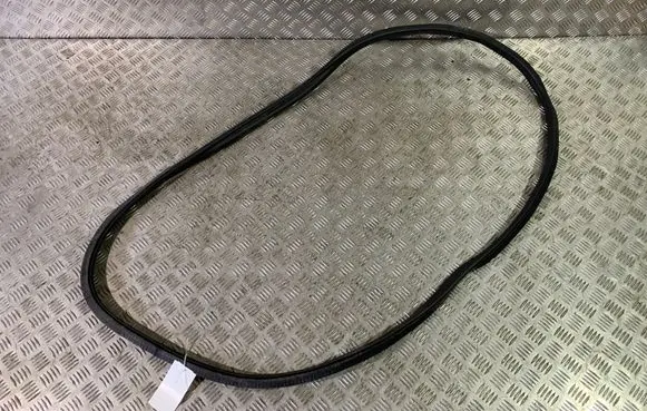 BMW 7 G11 G12 Rear door rubber seal (on body) 7336046