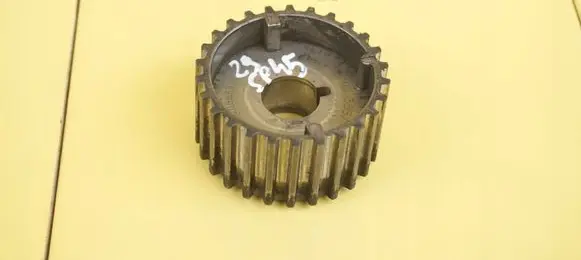 Opel Zafira C Timing chain sprocket 55578342 29SP45