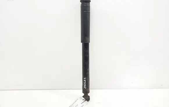 Mercedes-Benz SLK R171 Rear shock absorber/damper A1713260100