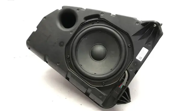 Tesla Model Y Subwoofer speaker 1656267 11593002 01032413L8A