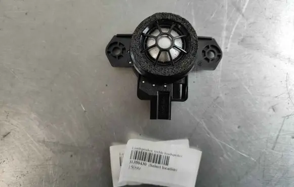 Front door high frequency speaker