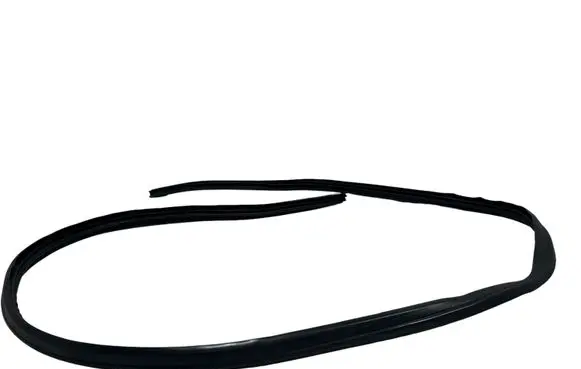 Ford C-MAX II Front door rubber seal