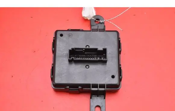 Engine control unit/module ECU
