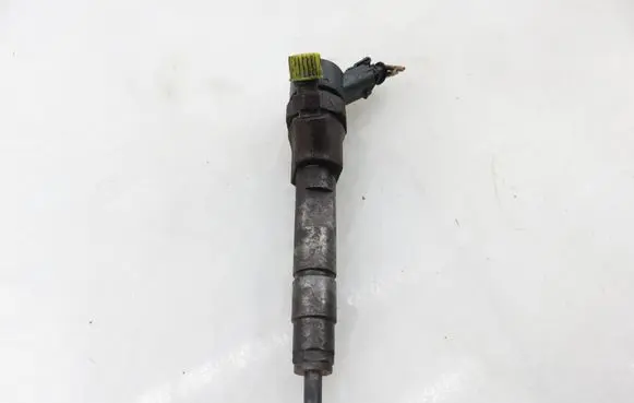 Renault Scenic II - Grand scenic II Fuel injector 7700111014 0445110021