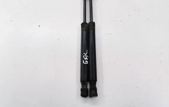 Chrysler 300 - 300C Tailgate/trunk strut/damper 04589589AA