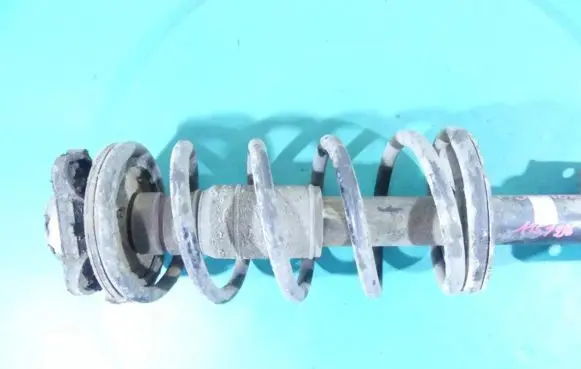 Front coil spring