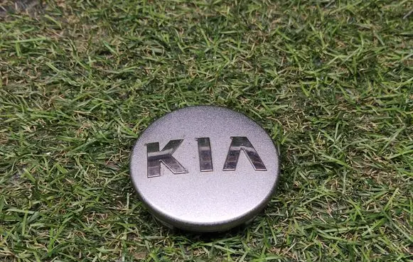 KIA Sportage Original wheel cap 529601Y200