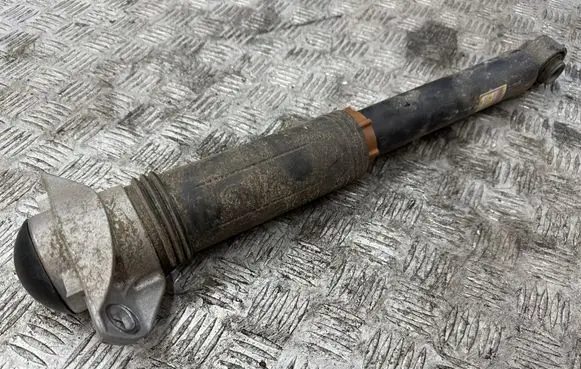 Toyota RAV 4 (XA50) Rear shock absorber/damper 4853042220