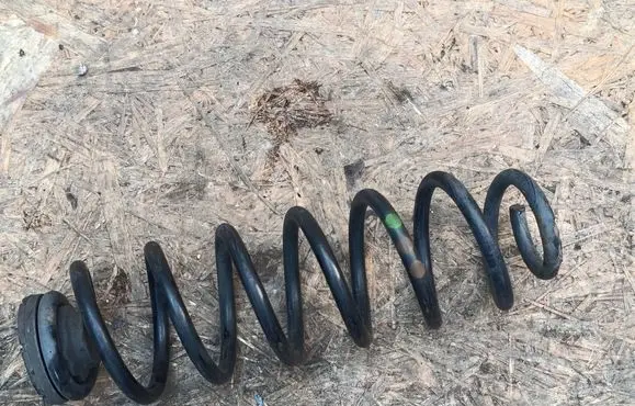 Skoda Roomster (5J) Rear coil spring