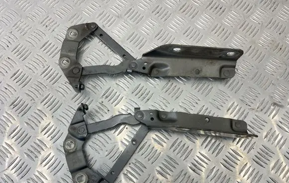 Land Rover Evoque I Engine bonnet/hood hinges 6H5216800AC