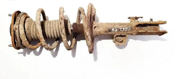 Toyota RAV 4 (XA30) Front shock absorber/damper 