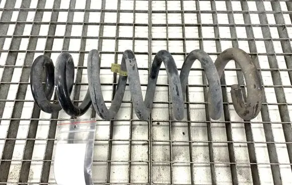 Rear coil spring