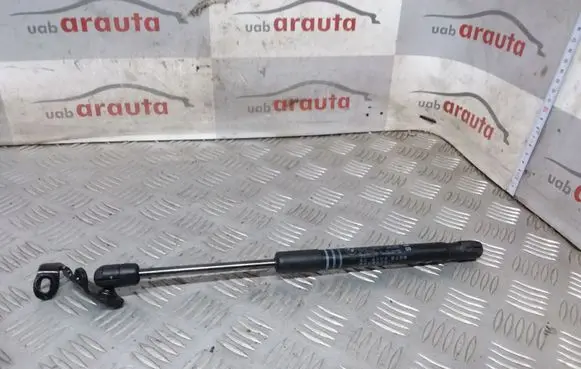 Front bonnet/hood damper/strut