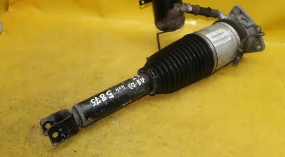 Audi A8 S8 D3 4E Rear shock absorber/damper 4E0616001F