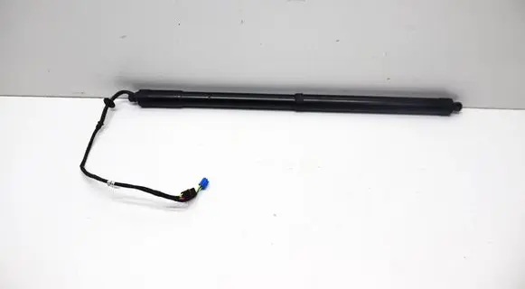 Tailgate/trunk strut/damper