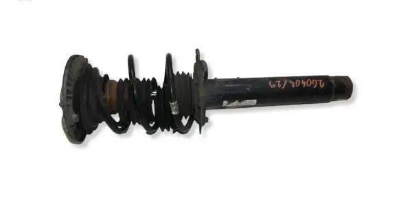BMW 1 F20 F21 Front shock absorber with coil spring 6862171 222875 14941510