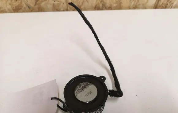 Volkswagen PASSAT B6 Alarm system siren