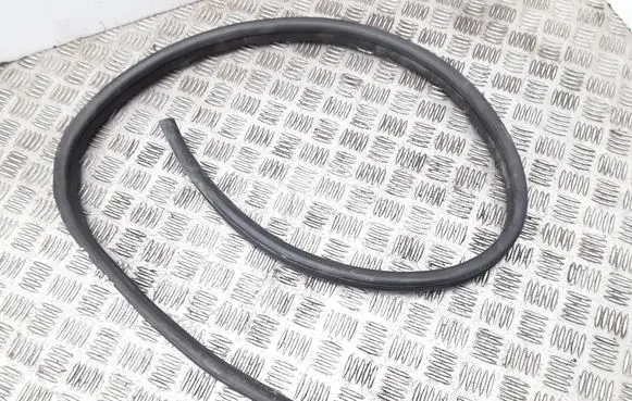 Citroen C3 Pluriel Front door rubber seal 