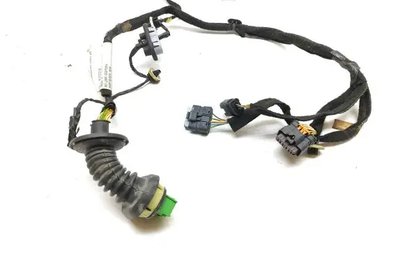 Citroen DS5 Rear door wiring loom 9801373180 55WYR3004