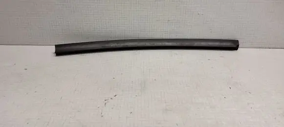 Chrysler Town u0026 Country IV Rubber seal front coupe door window 