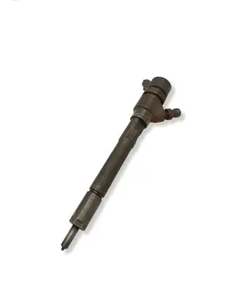 Chevrolet Captiva Fuel injector 96440397 0445110270