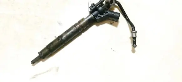 Mercedes-Benz E W211 Fuel injector a6420701887 0445115072