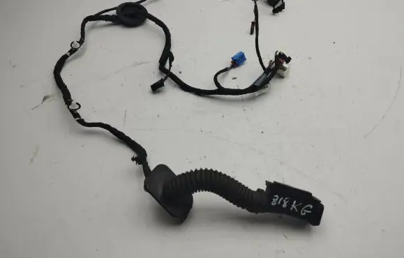 Audi A5 Rear door wiring loom 8W8971687M