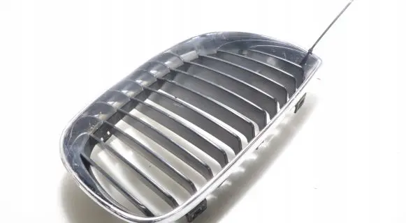 BMW 1 E81 E87 Front grill