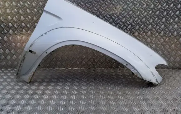 Fender