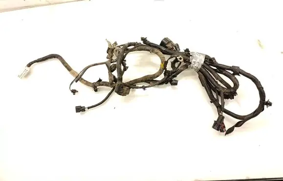 Front door wiring loom