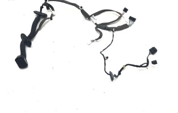 Renault Megane III Front door wiring loom 241253069R