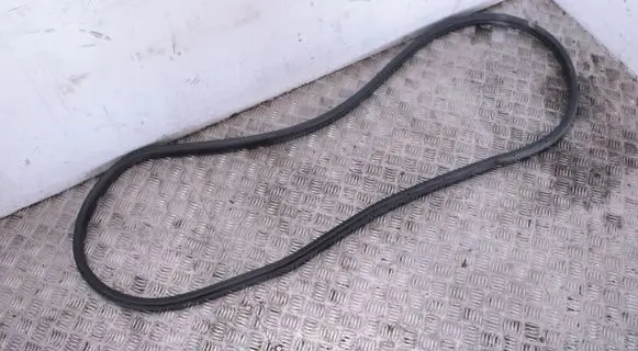 Ford Puma Front door rubber seal L1TBS2070809AB L1TBS20708