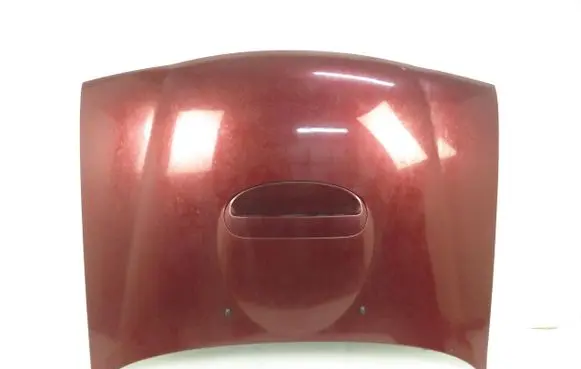 Nissan Terrano Engine bonnet/hood