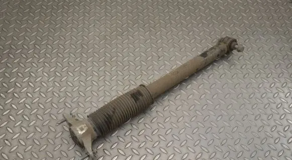 Tesla Model Y Rear shock absorber/damper 118846300C